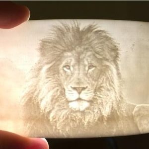 Custom 3D Print Lithography