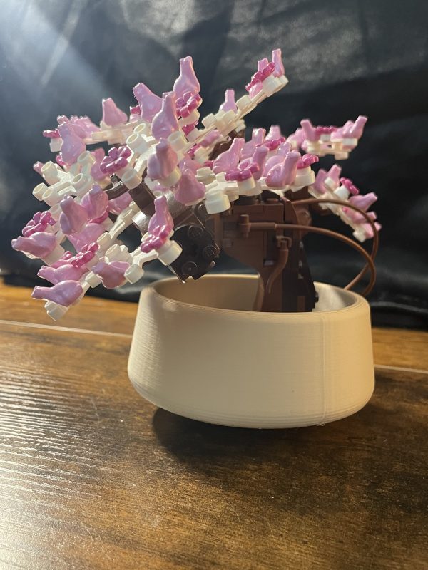 Bonsai Pot - Image 2