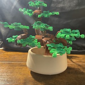 Bonsai Pot