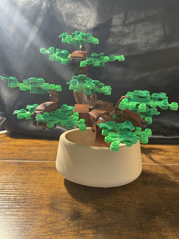 Bonsai Pot